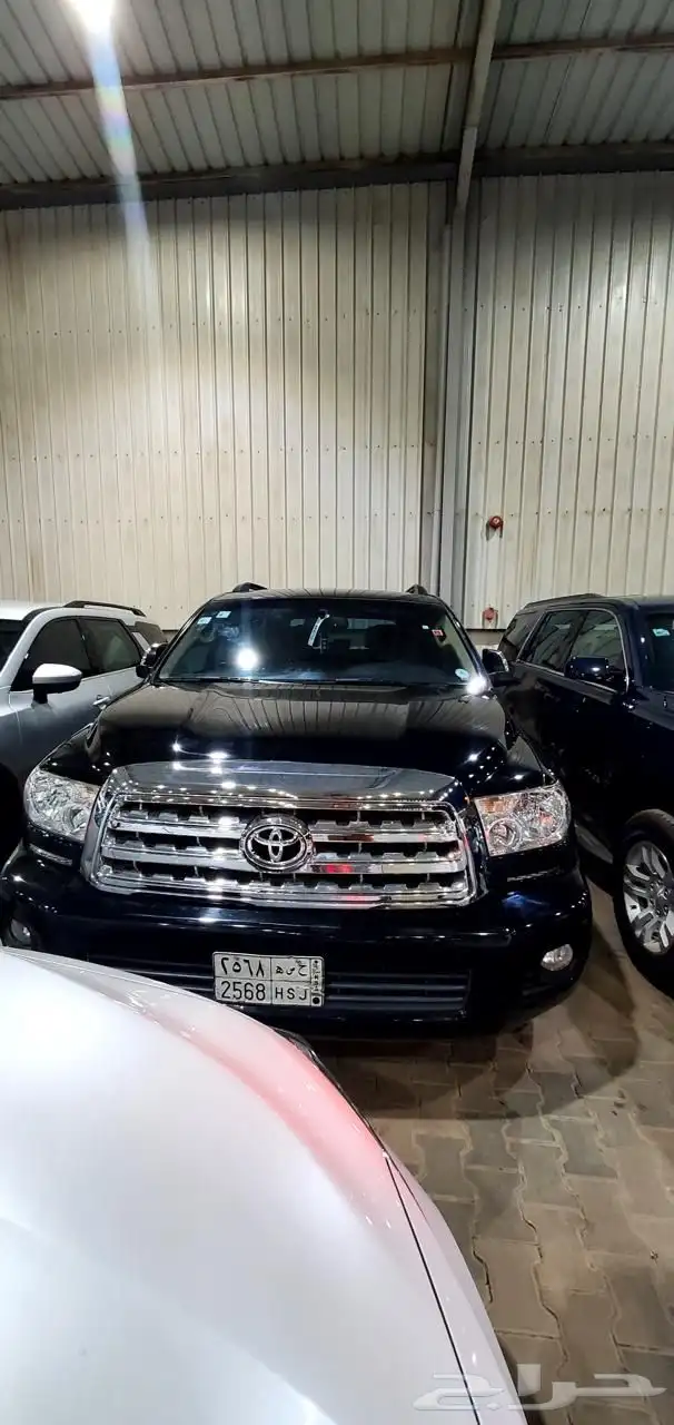 سكويا 2014 6