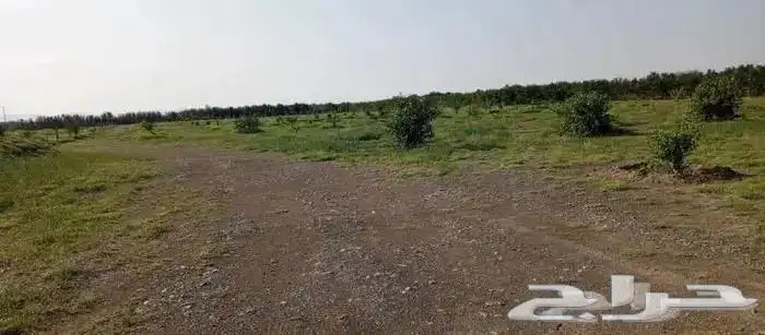 مزرعة فخمه للبيع بشمال شرق جدة 0