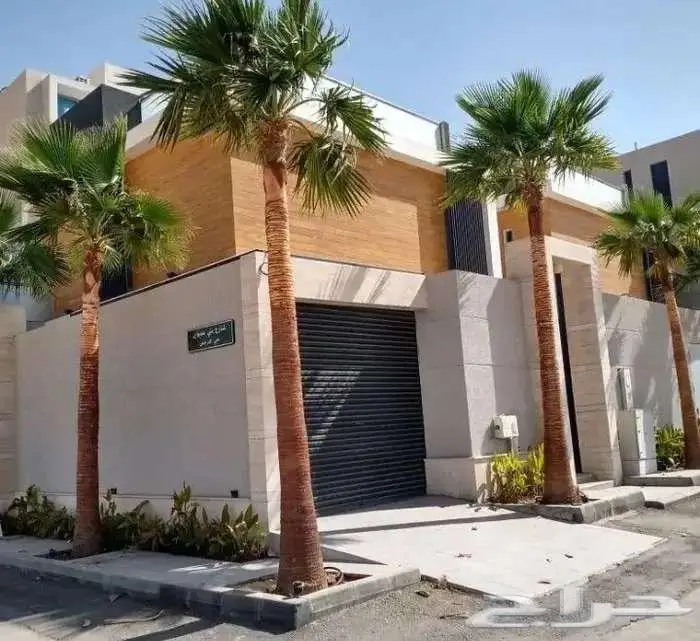 نخل واشنطني 3
