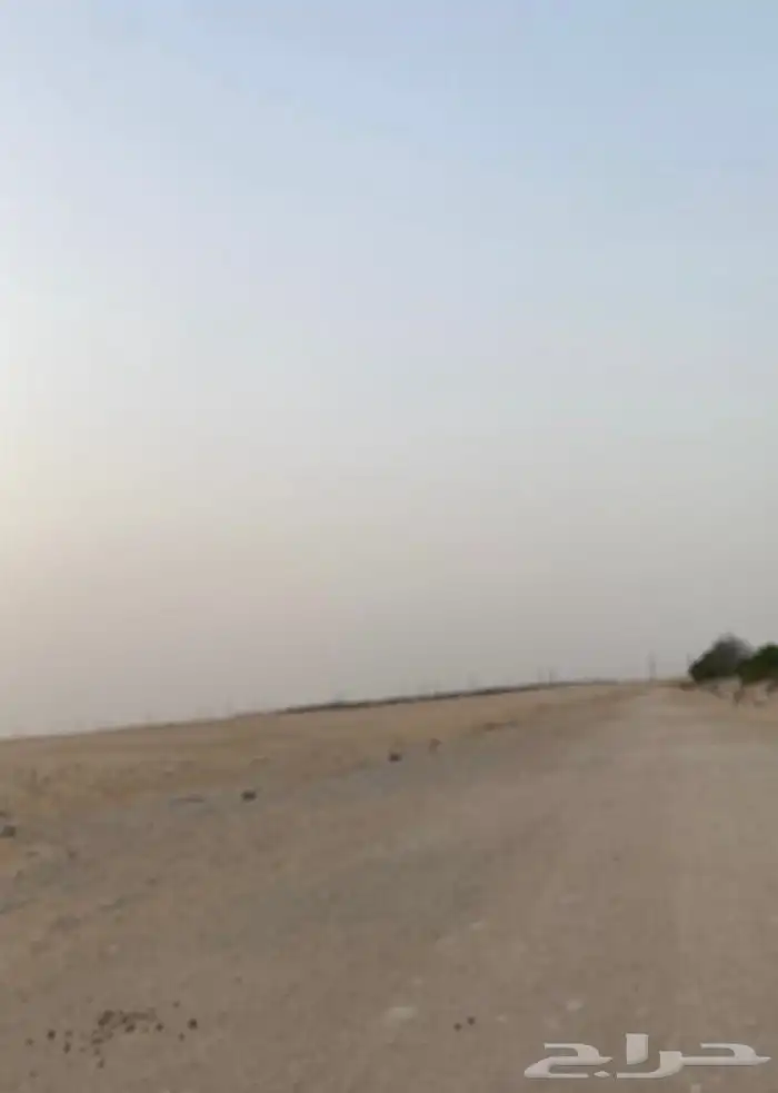 مزرعة في الجبيل للبيع 12