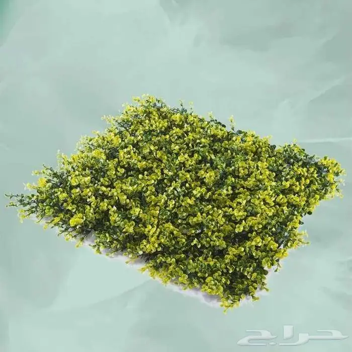 عشب جدارى تو دى -ثرى دى صناعى صينى 45 ريال 19