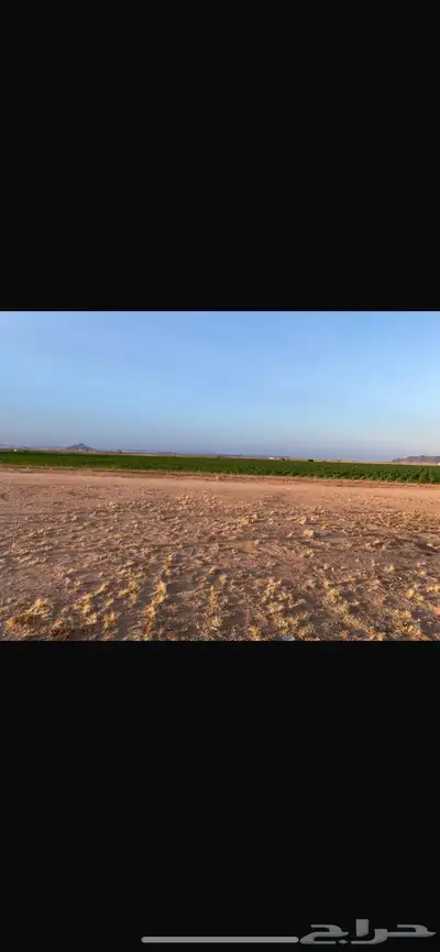 مزرعه للبيع مساحتها 579000   شرق حائل بسعر مميز 2
