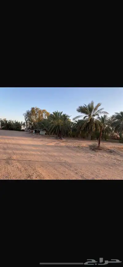 مزرعه للبيع مساحتها 579000   شرق حائل بسعر مميز 0
