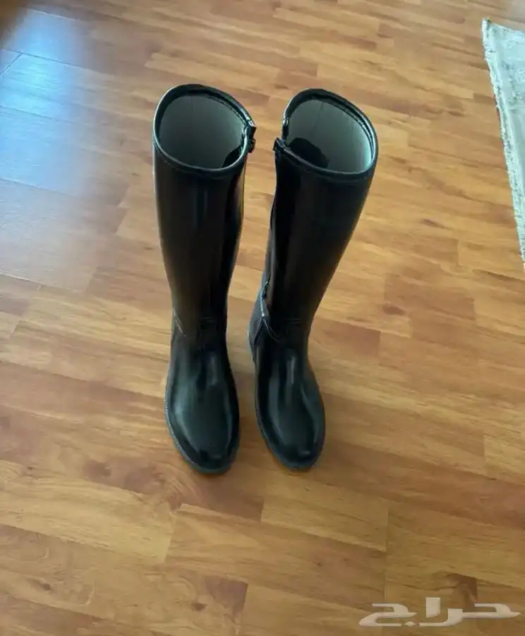 فروسية 0