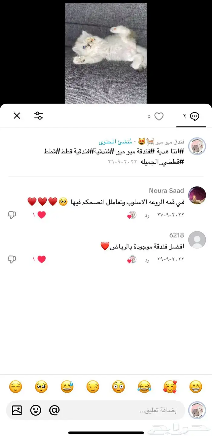 فندقة قطط الشرقية 3