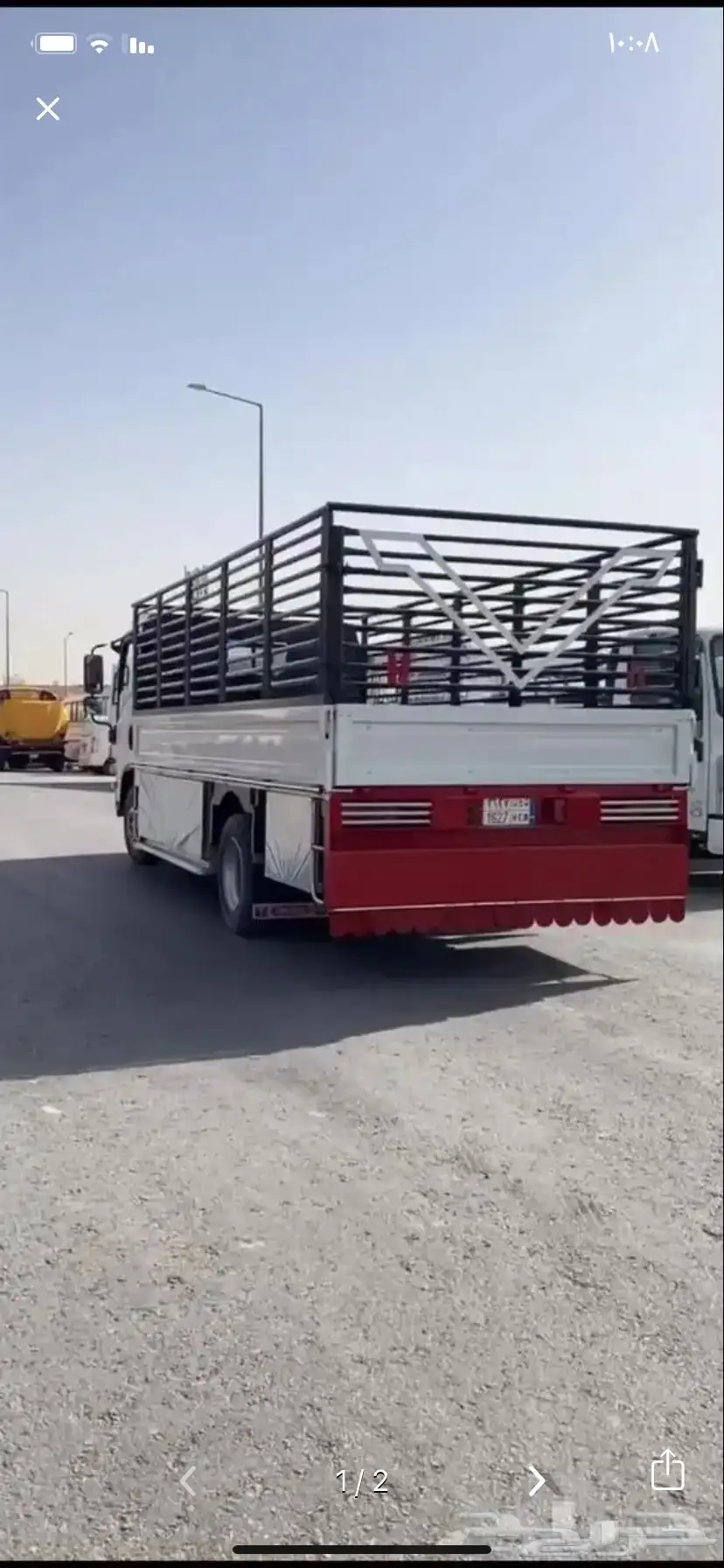 دينا المجمعة 0