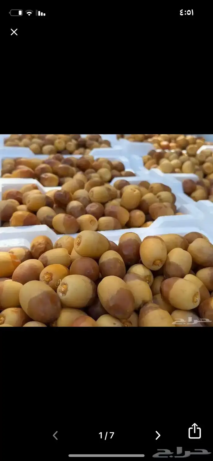 روثانه طازجه 40