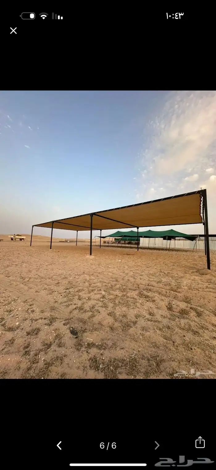 مضلات ابل وحلال 5