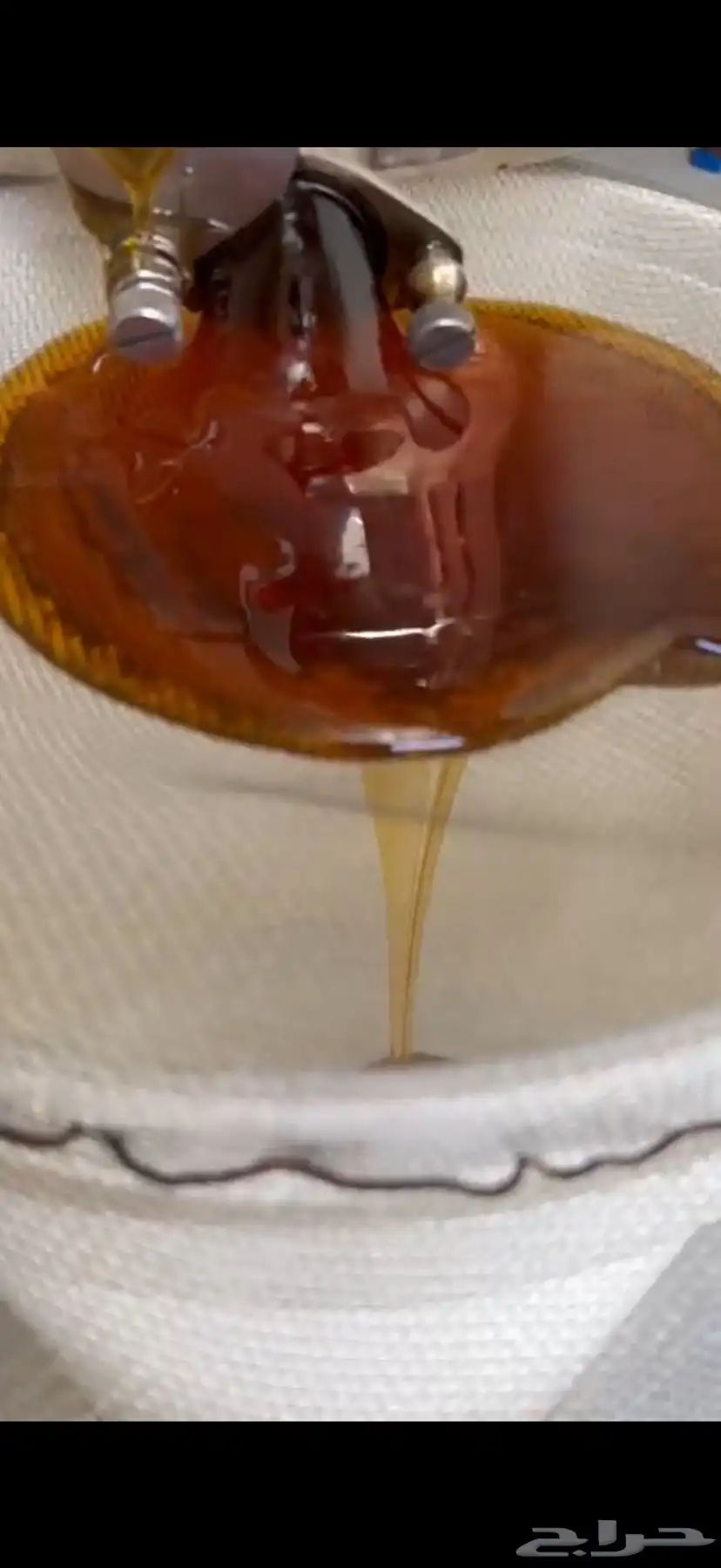 عسل الطلح 2