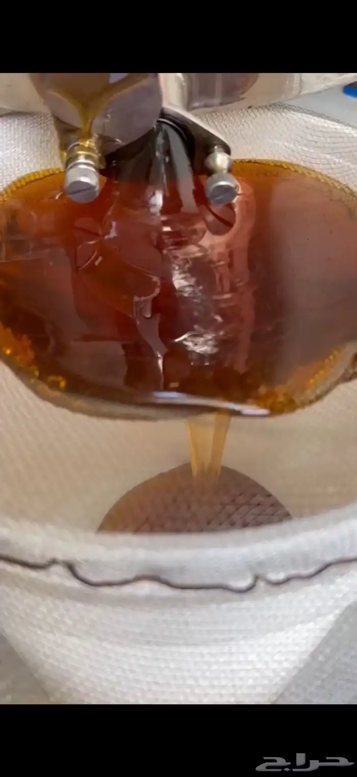 عسل الطلح 0