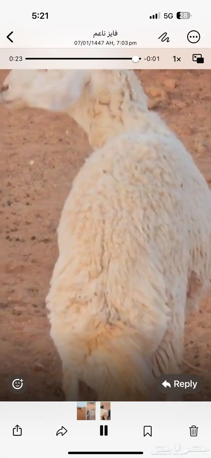 حري طيب لذبح 1