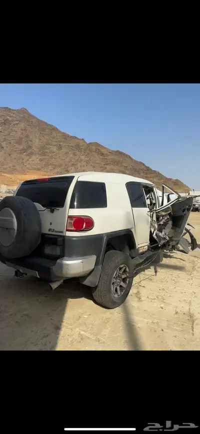 افجي 2010 2