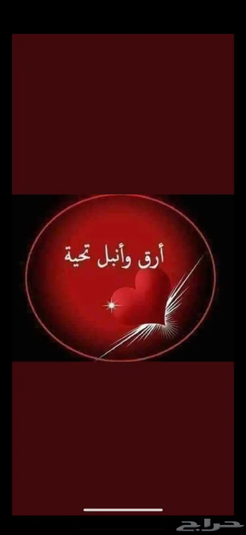 الدرعيه 0