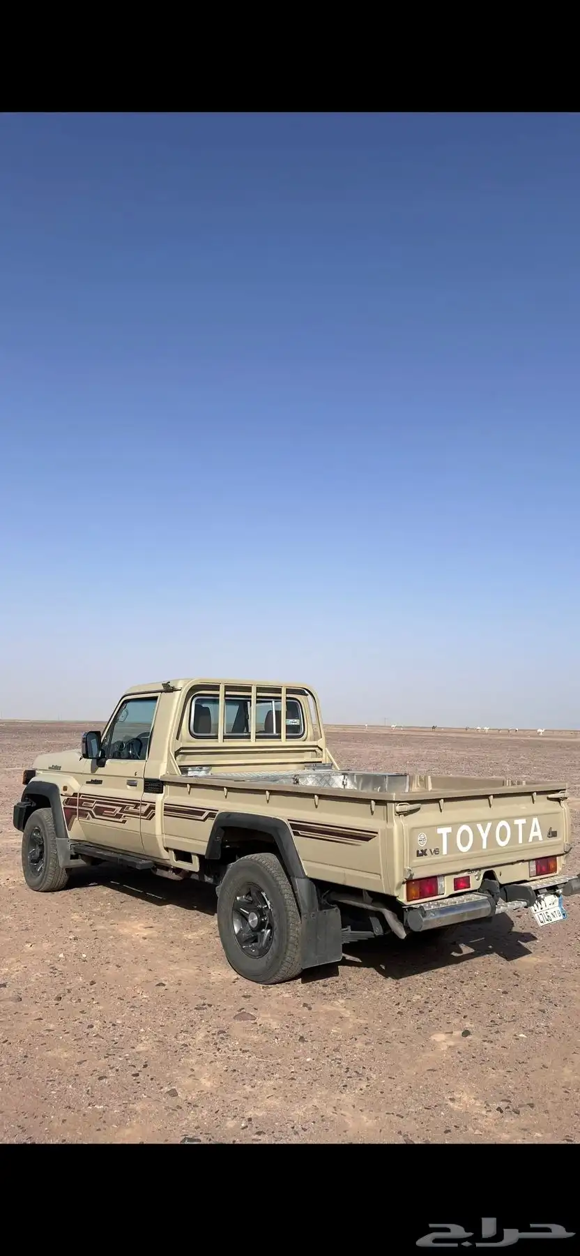البيع شاص 1
