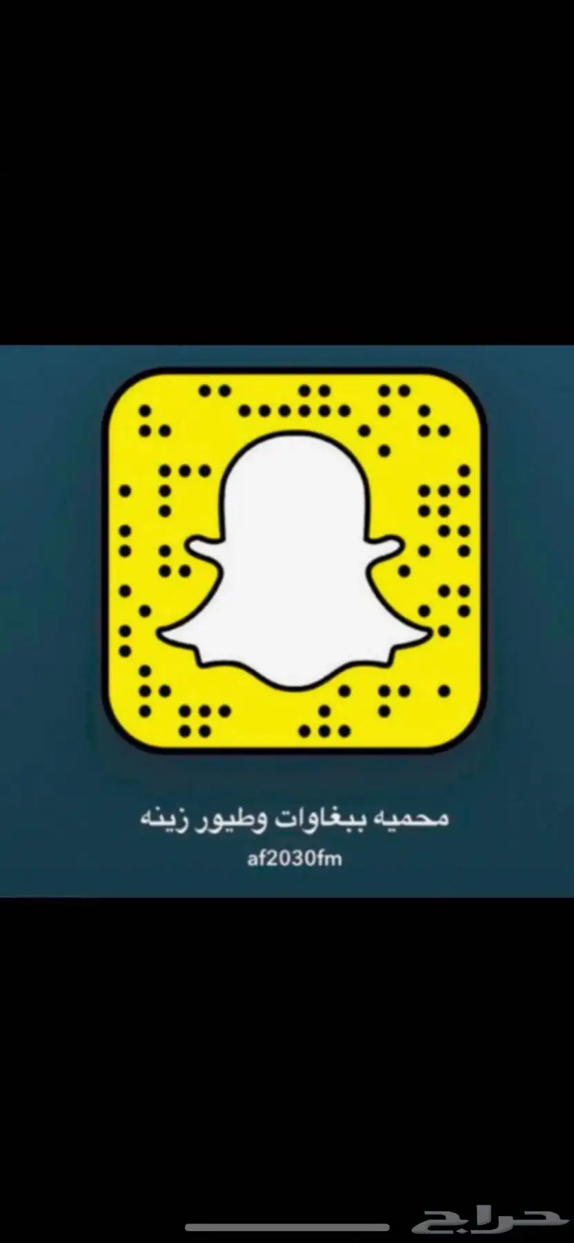 فقاسه 3