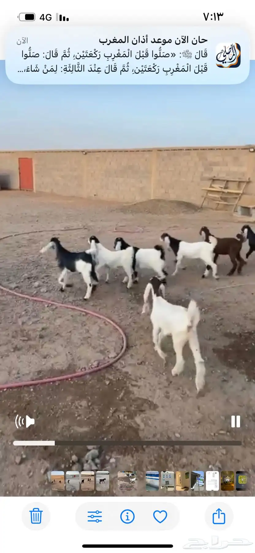 جفار مشاريك 0