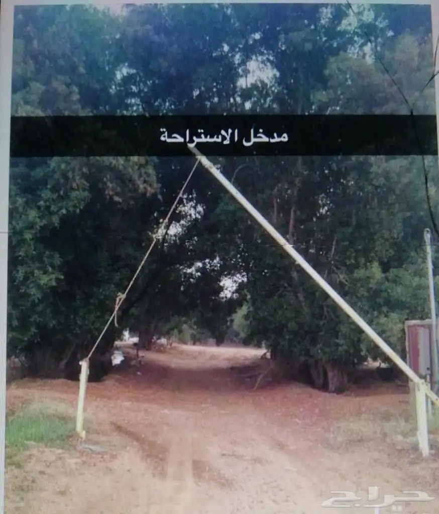 مزرعة للايجار ب صبيا منطقة جيزان 0