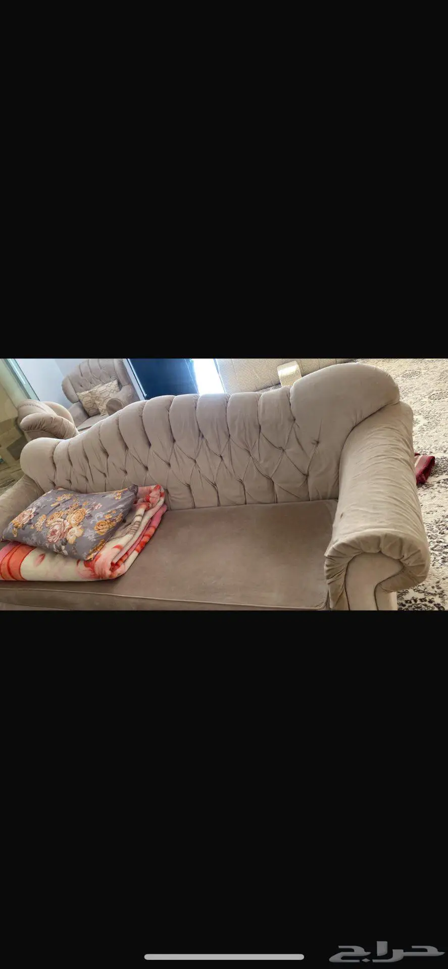 القصيم بريده 0