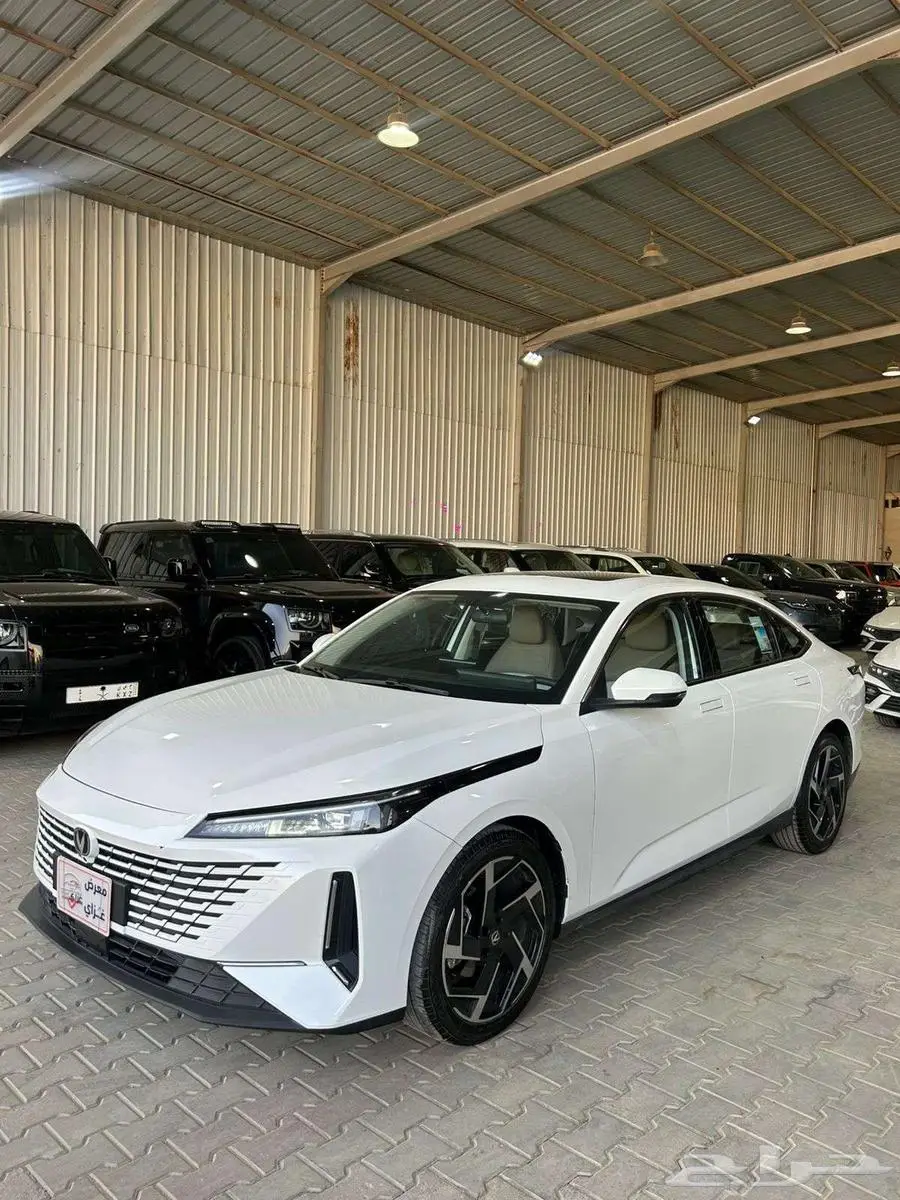 شانجان ايدو 2025 1