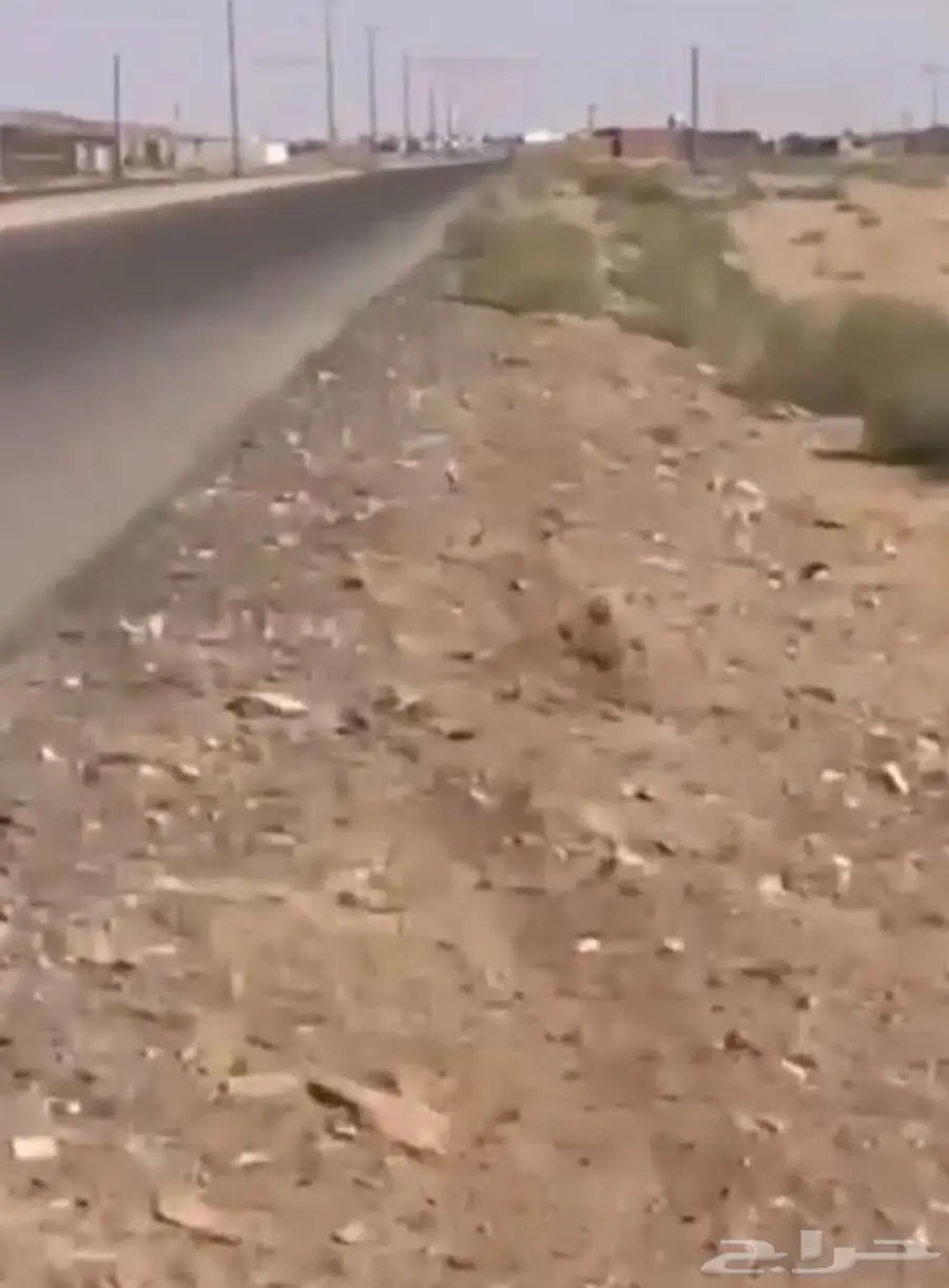 ارض زراعية للبيع في دخنه 190 الف 1