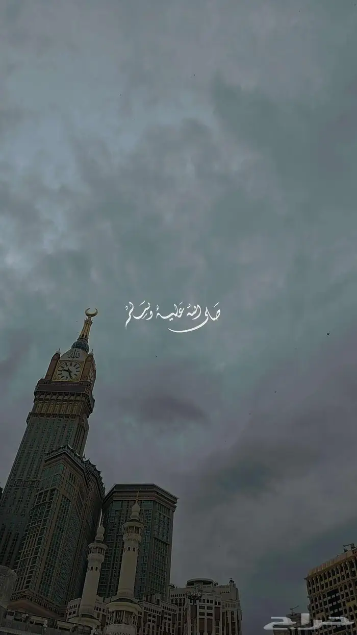 تبغي تدبل راس مالك تعال 0