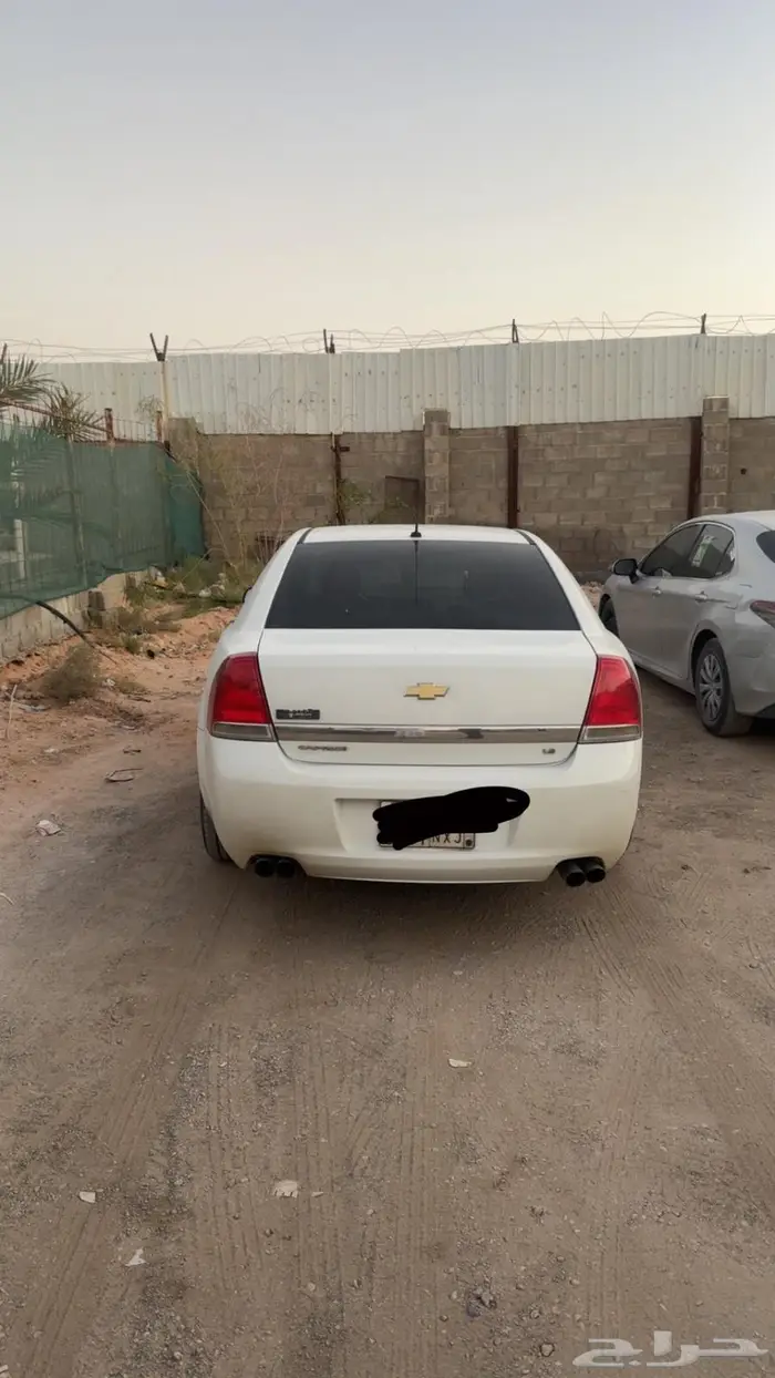 كابرس2014 1