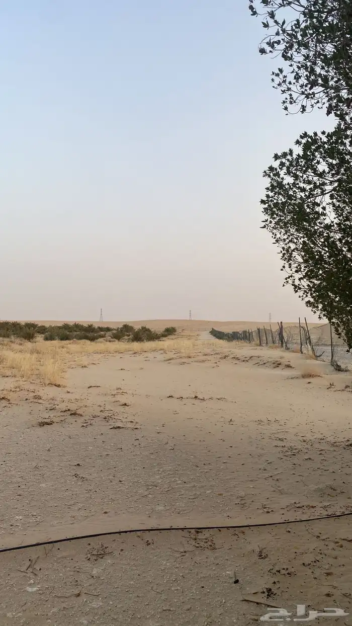مزرعة في الجبيل للبيع 11