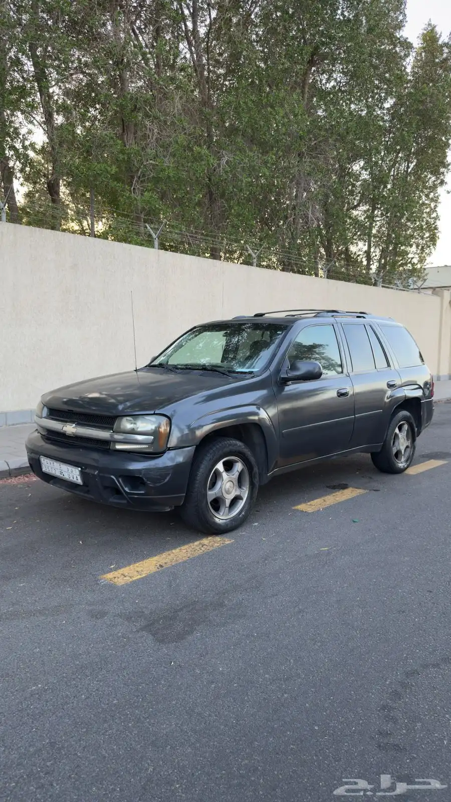 Chevy trailblazer 2007 14