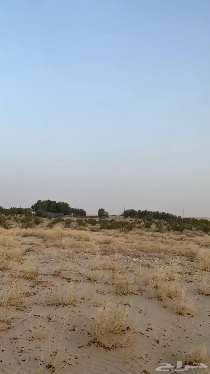مزرعة في الجبيل للبيع 2