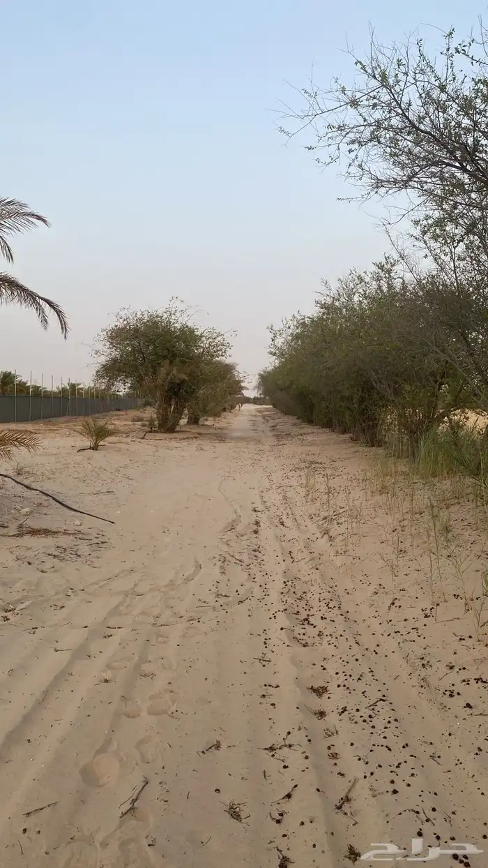 مزرعة في الجبيل للبيع 5
