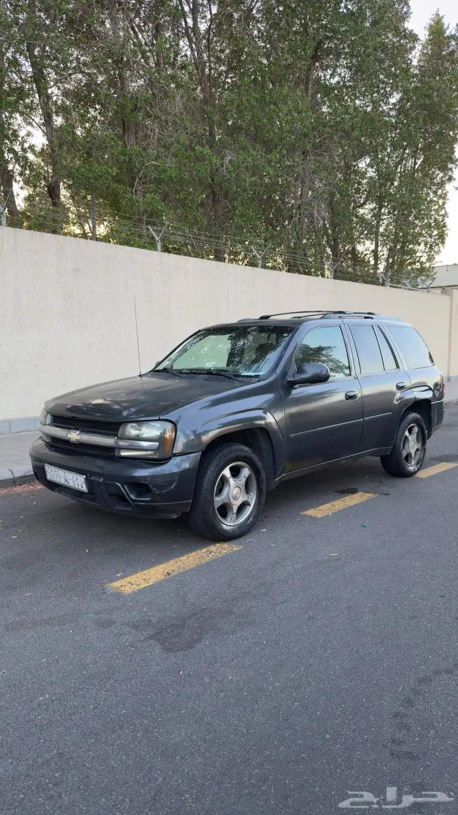 Chevy trailblazer 2007 16