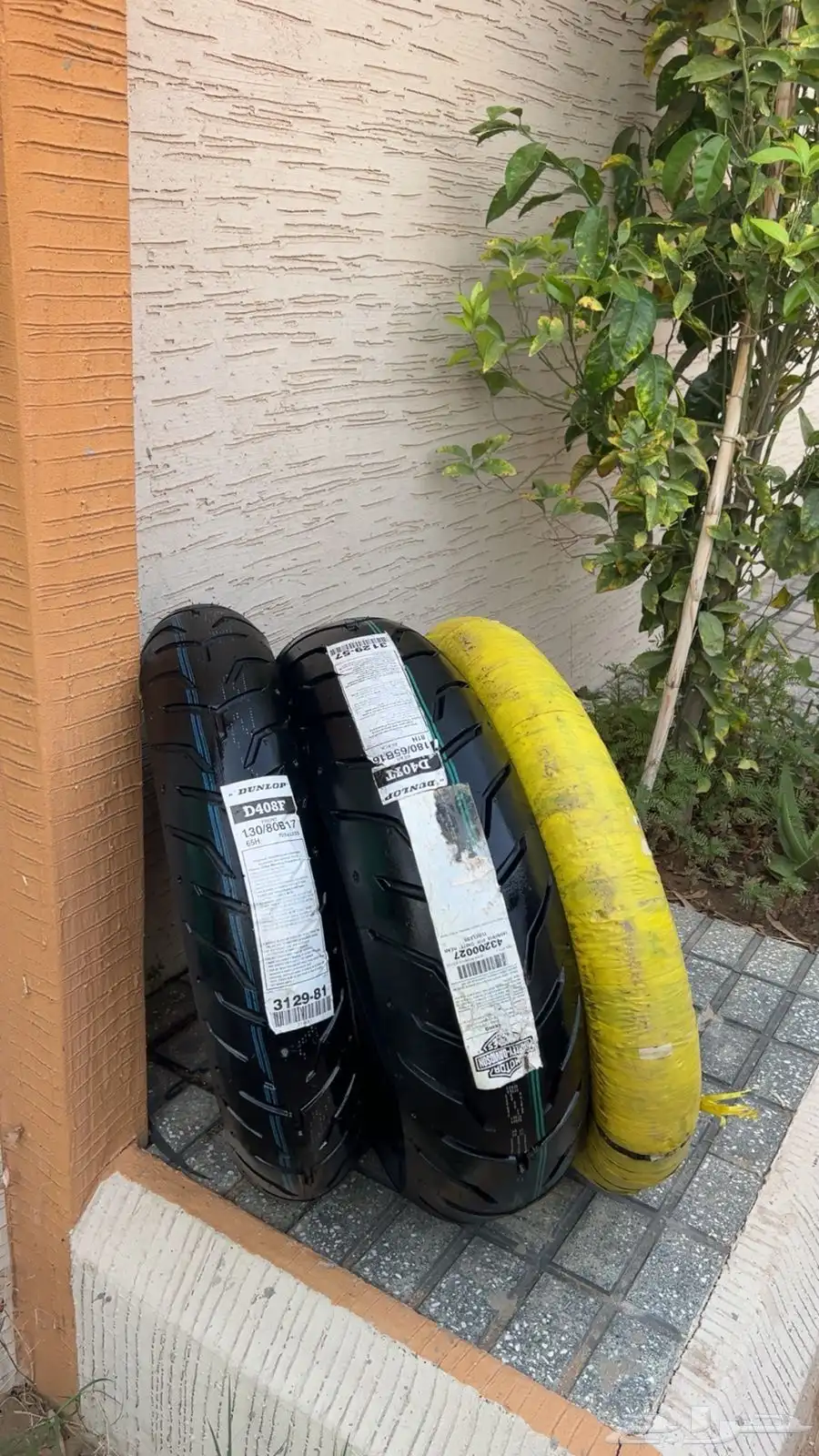 جديد 1