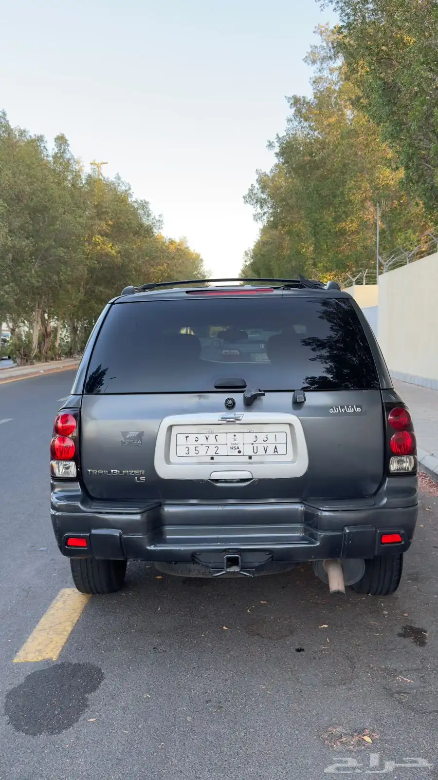 Chevy trailblazer 2007 1