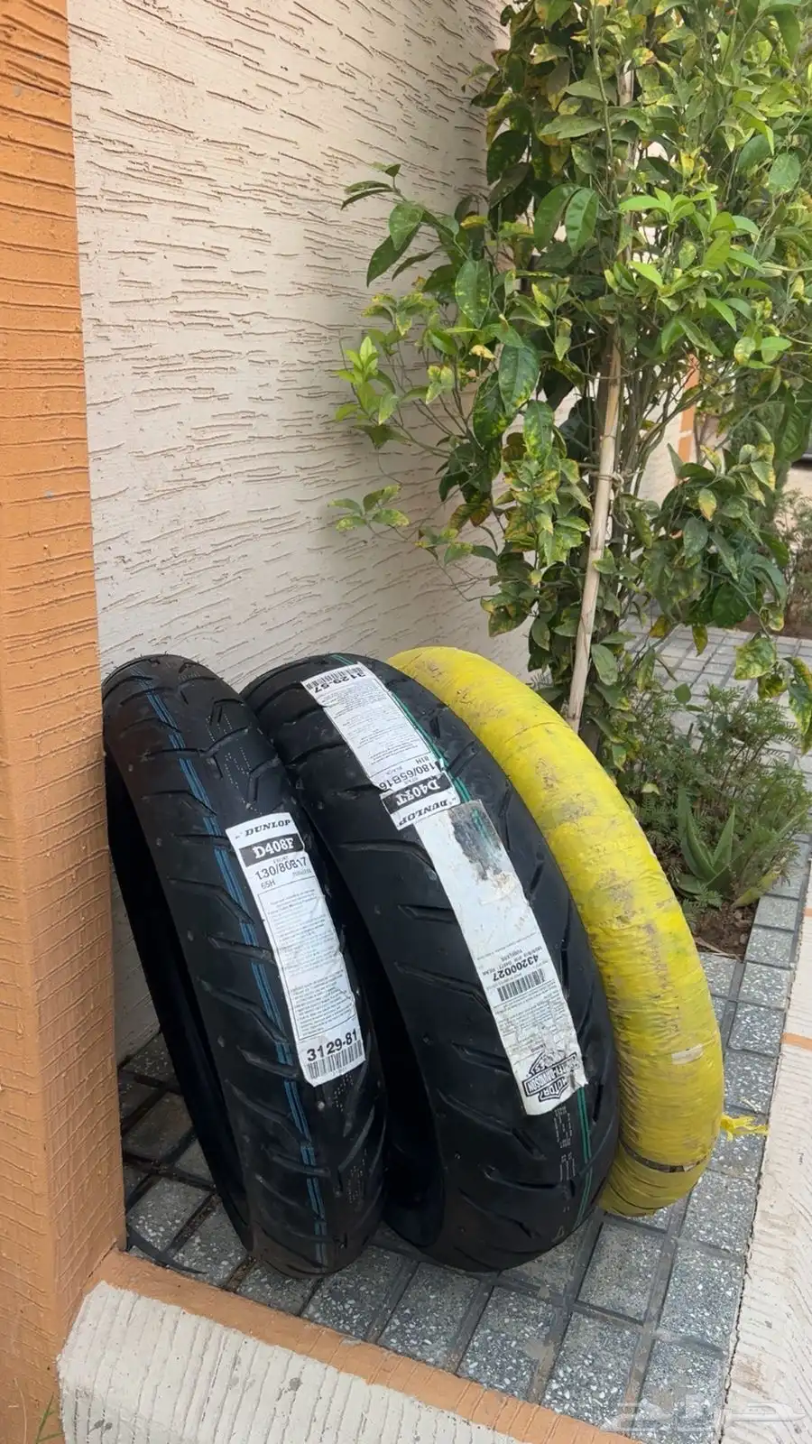 جديد 0
