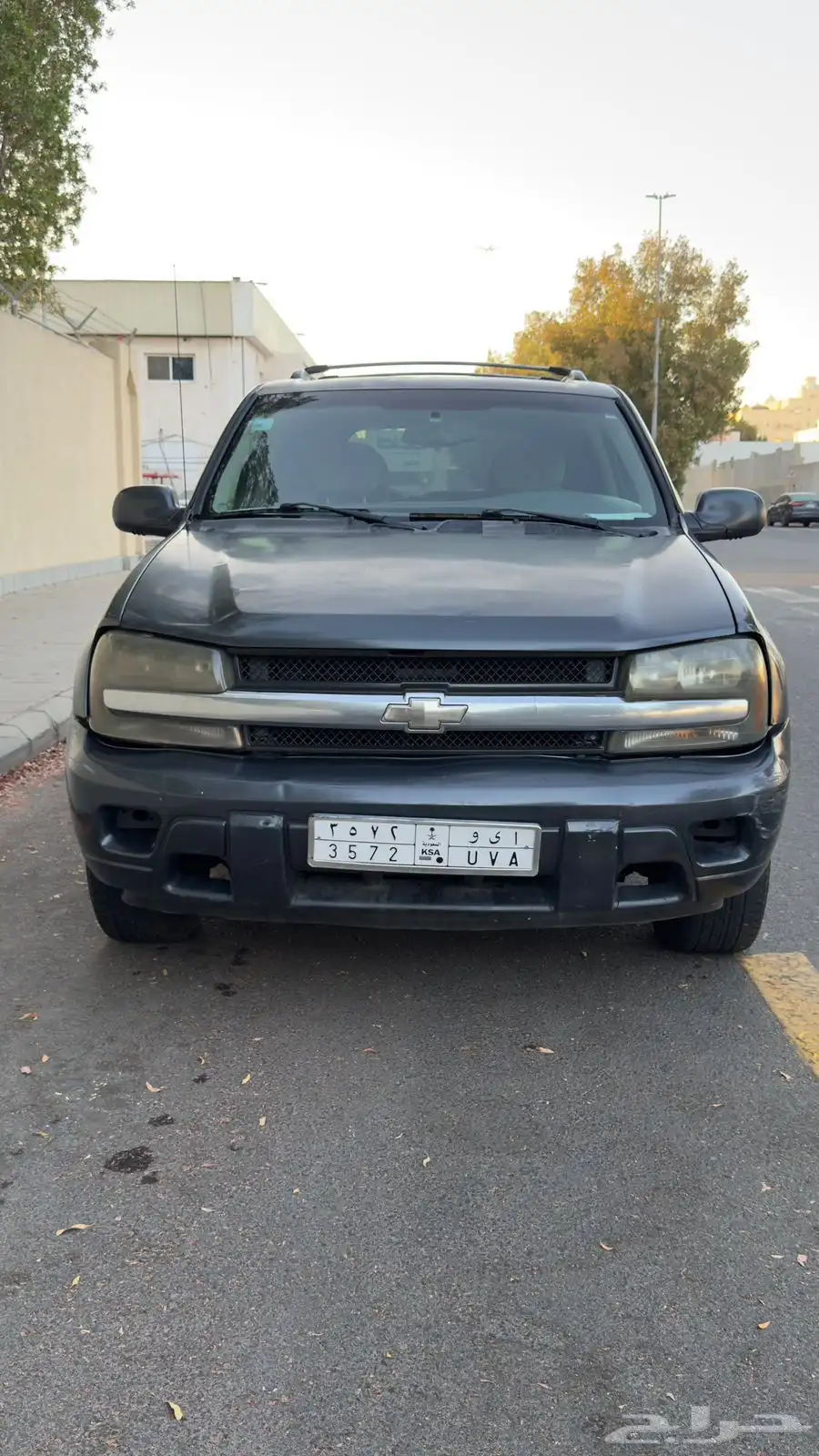 Chevy trailblazer 2007 0