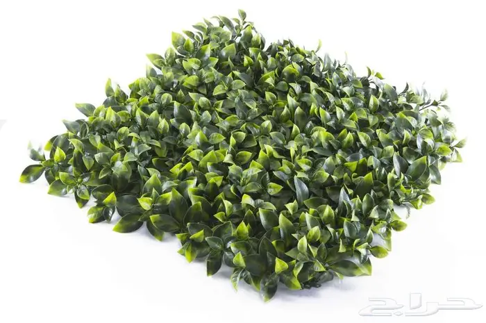 عشب جدارى تو دى -ثرى دى صناعى صينى 45 ريال 15