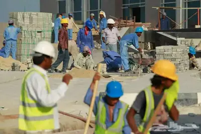 نوفر خدمة تاجير عمالة وتشغيل وصيانة ونظافة لجميع قطاعات 8