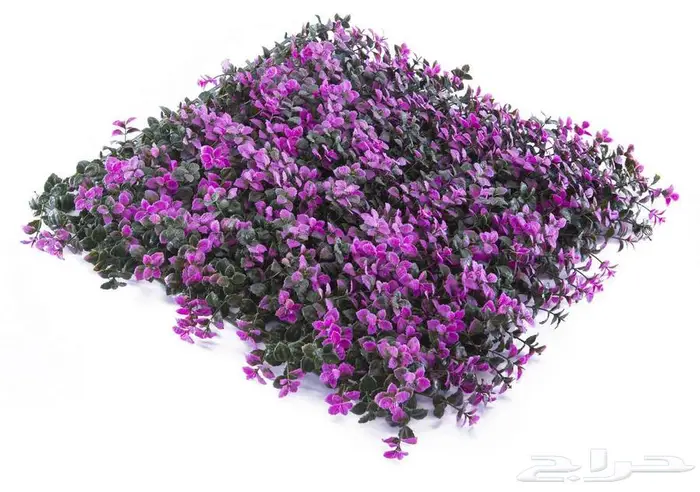 عشب جدارى تو دى -ثرى دى صناعى صينى 45 ريال 7