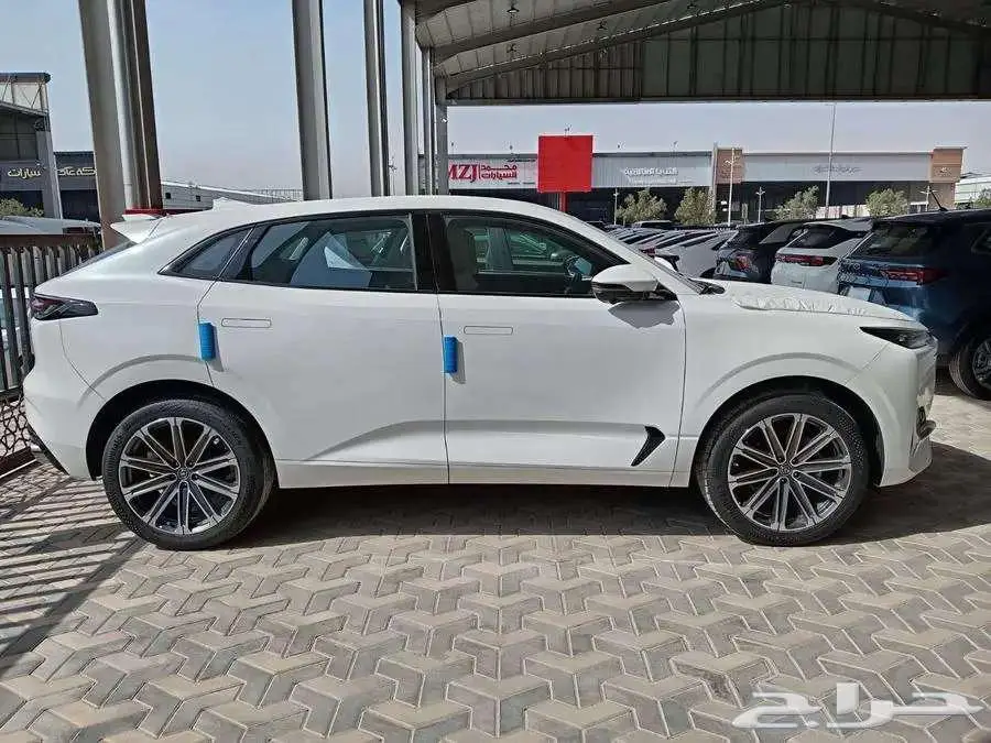 شانجان يوني كي 2026 6