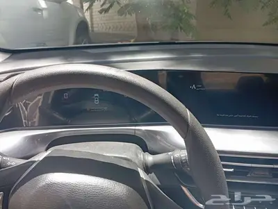 شانجان للبيع 1