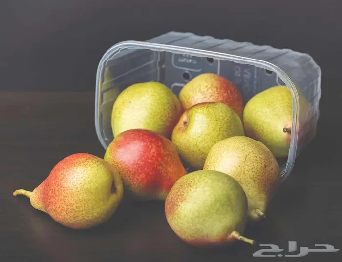 شركة جملة المستهلك التجارية 0