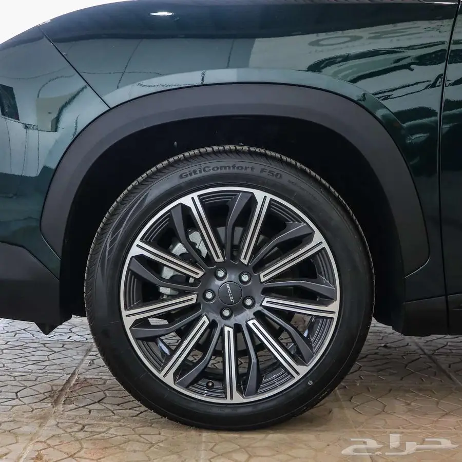 جيتور داشينج 2024 3