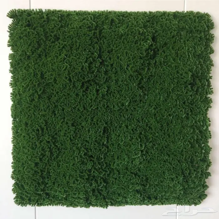 عشب جدارى تو دى -ثرى دى صناعى صينى 45 ريال 20