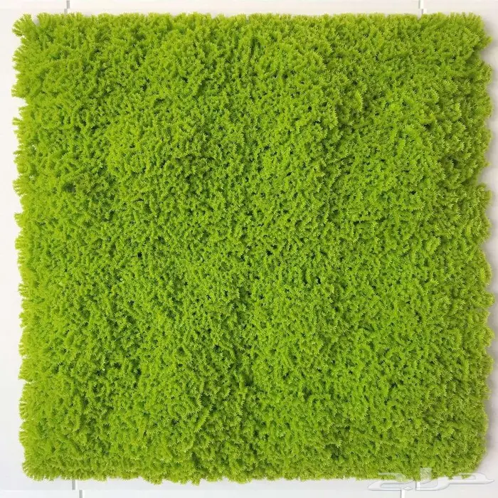 عشب جدارى تو دى -ثرى دى صناعى صينى 45 ريال 16