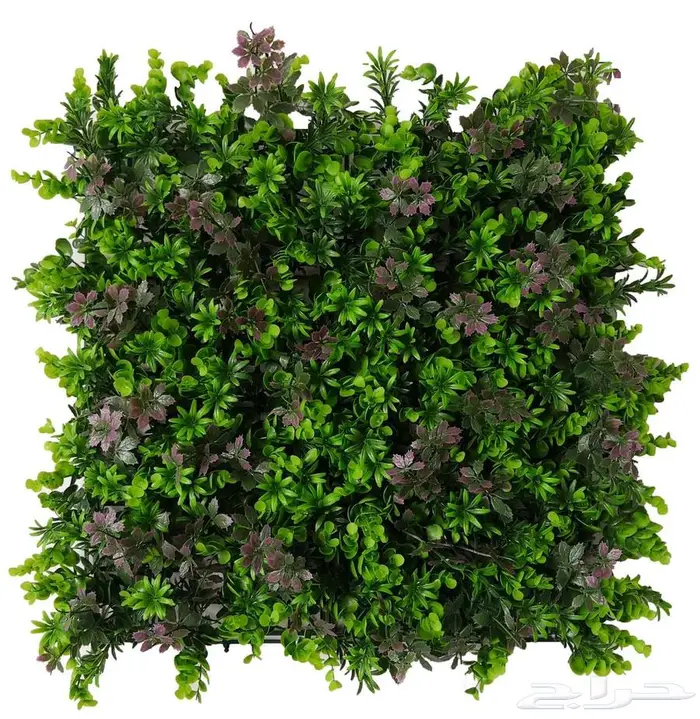 عشب جدارى تو دى -ثرى دى صناعى صينى 45 ريال 12