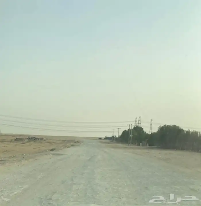 مزرعة في الجبيل للبيع 13