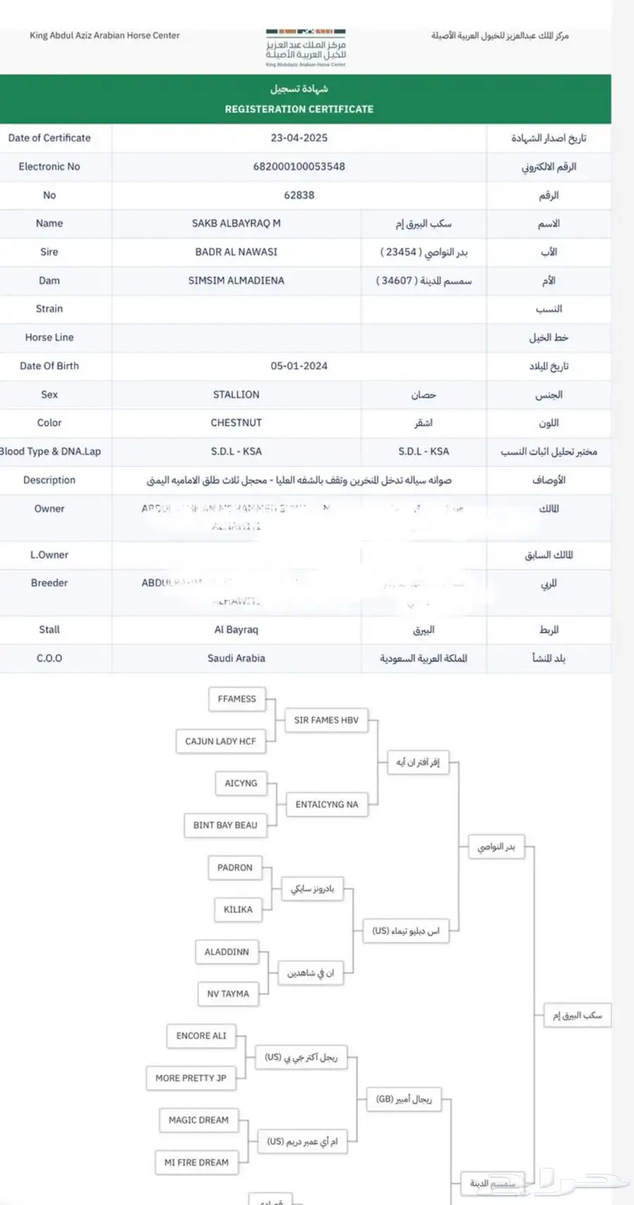 حصان باوراق ا 0