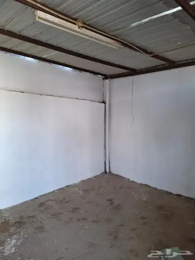 بايكات خيل خلف نادي الفروسية 13