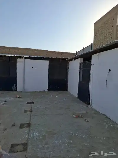 بايكات خيل خلف نادي الفروسية 14