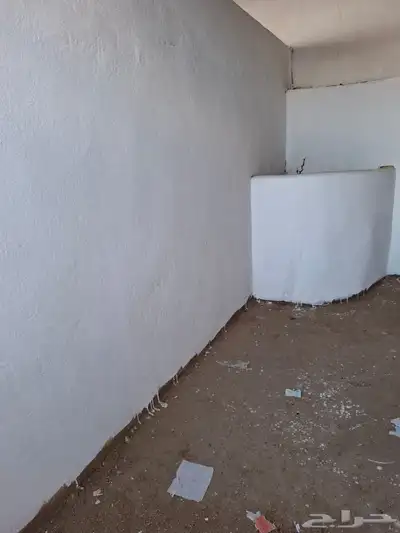 بايكات خيل خلف نادي الفروسية 8